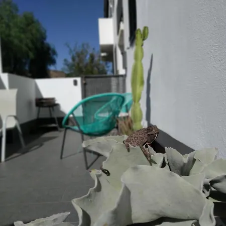 Piedranegra, Completo Con Patio, Terraza Y Bbq