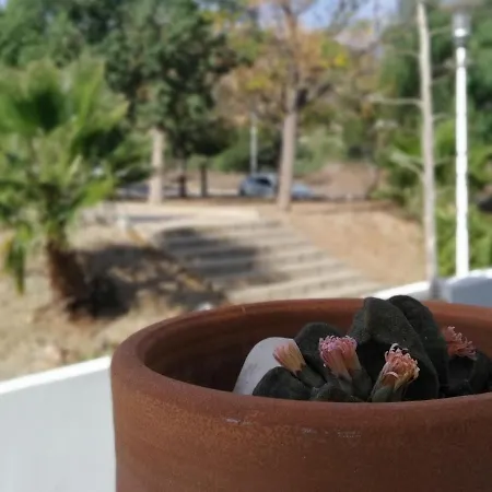 Piedranegra, Completo Con Patio, Terraza Y Bbq *